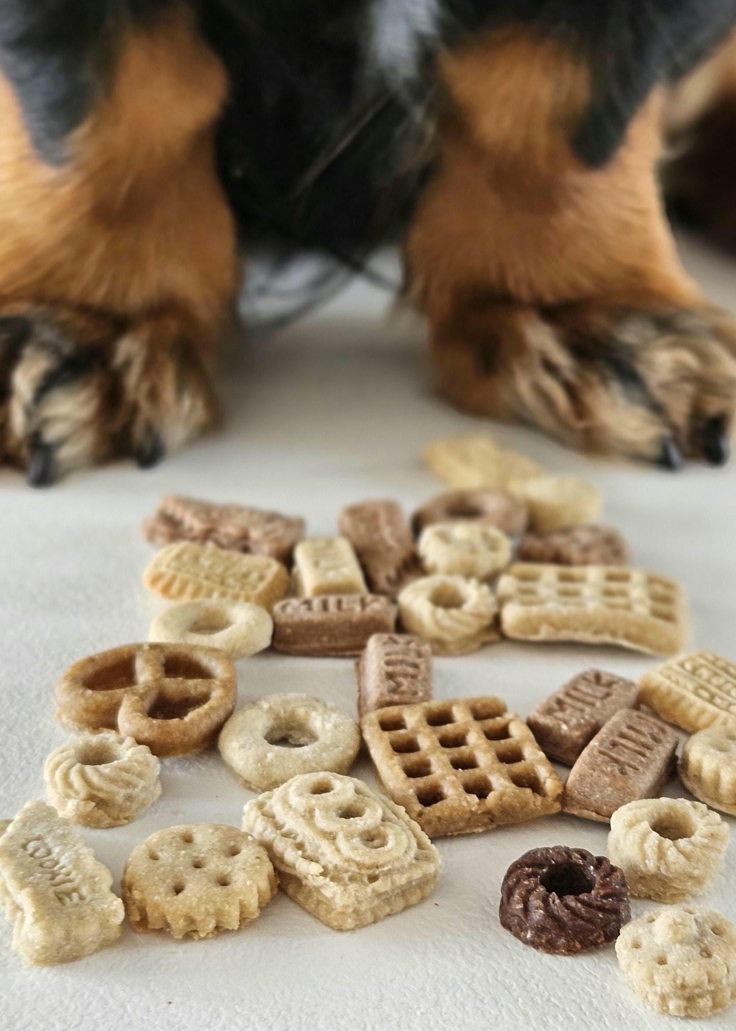 Tiny, natural human‑grade dog biscuits – Minis for Minis box