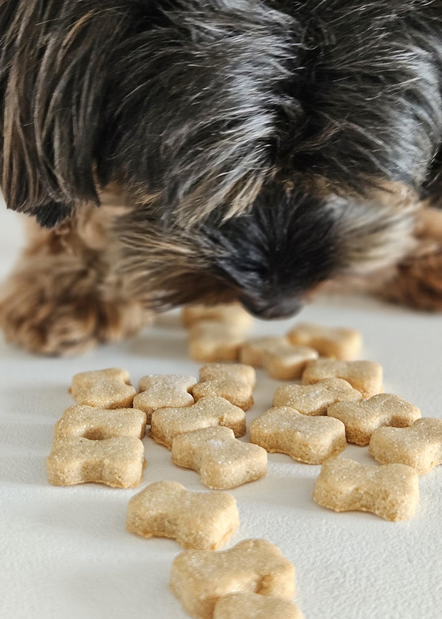 Bone‑Eatos 50 g dog treat bag – natural and wholesome