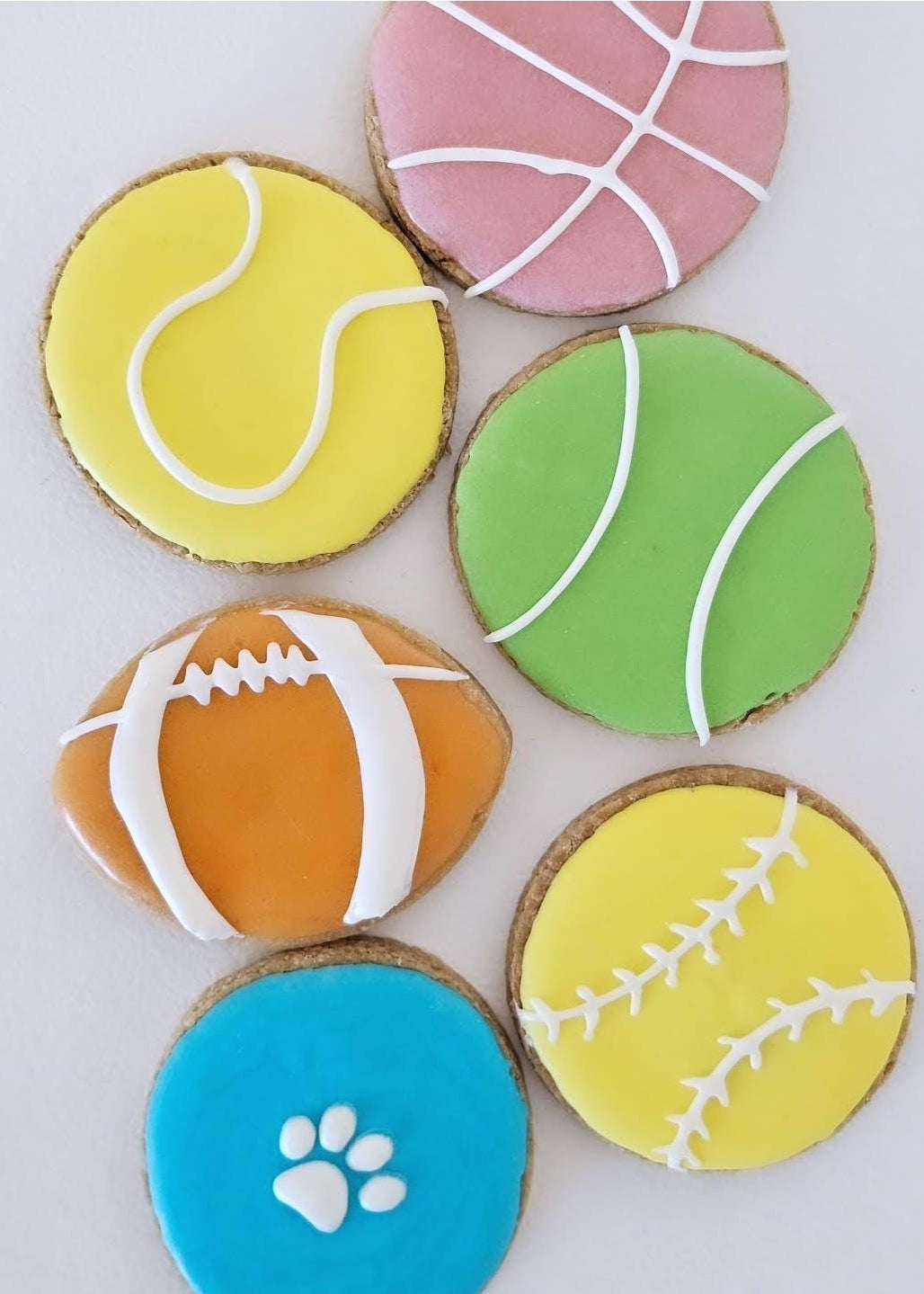 6 Fetch Box cookies for dogs made with human-grade ingredients in London