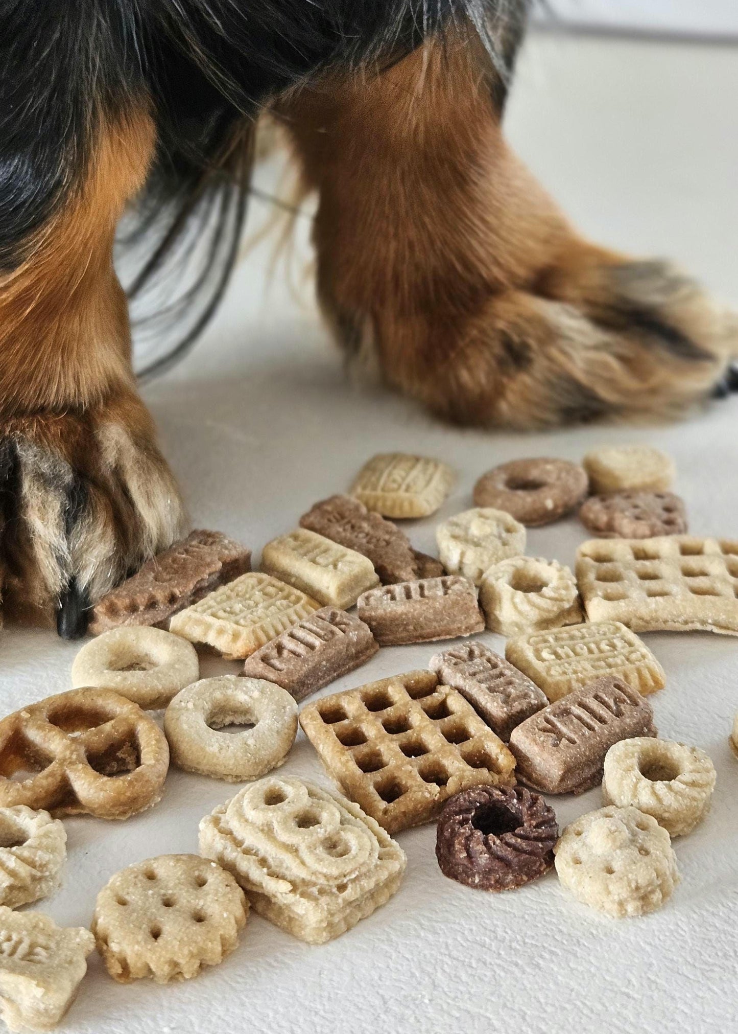 Assortment of mini dog snacks – perfect small dog training treats