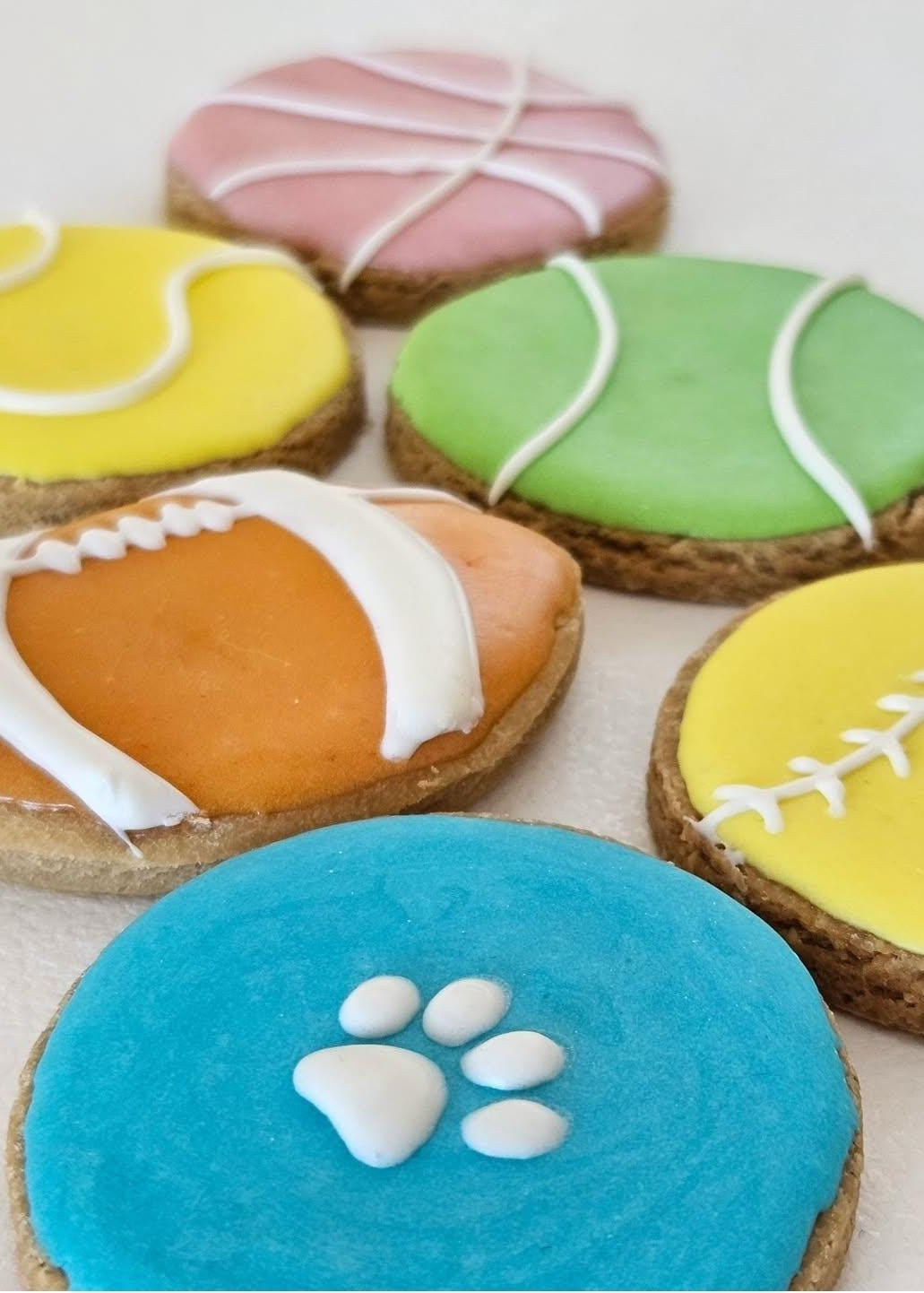 London-baked Fetch Box dog cookies in playful ball shape