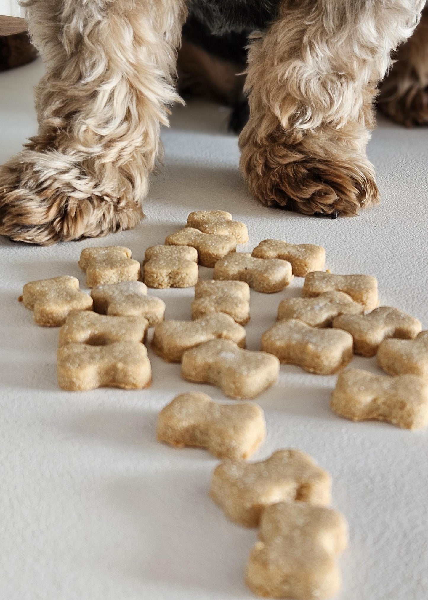 London‑made Bone‑Eatos dog treats in 50 g pack