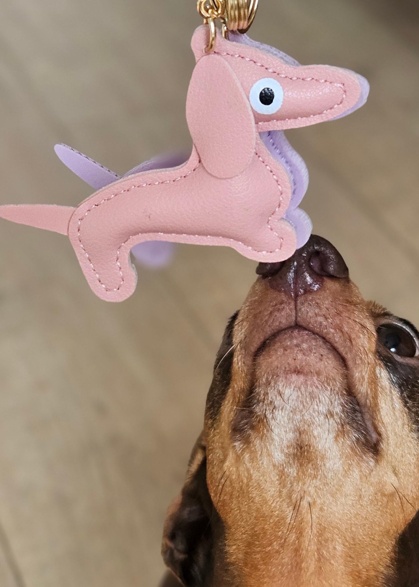 Dog playing with a pink dachshund-shaped keychain