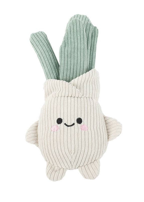Smiley Onion - Squeaky Dog Toy
