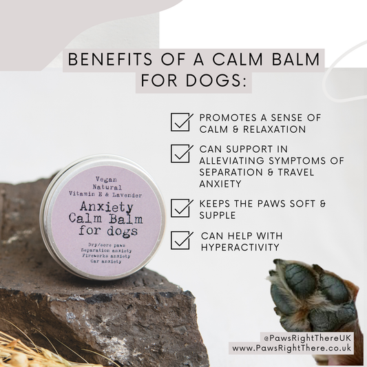 Calming Paw Balm - Natural | Vegan | Eco-Friendly | Lavender & Chamomile