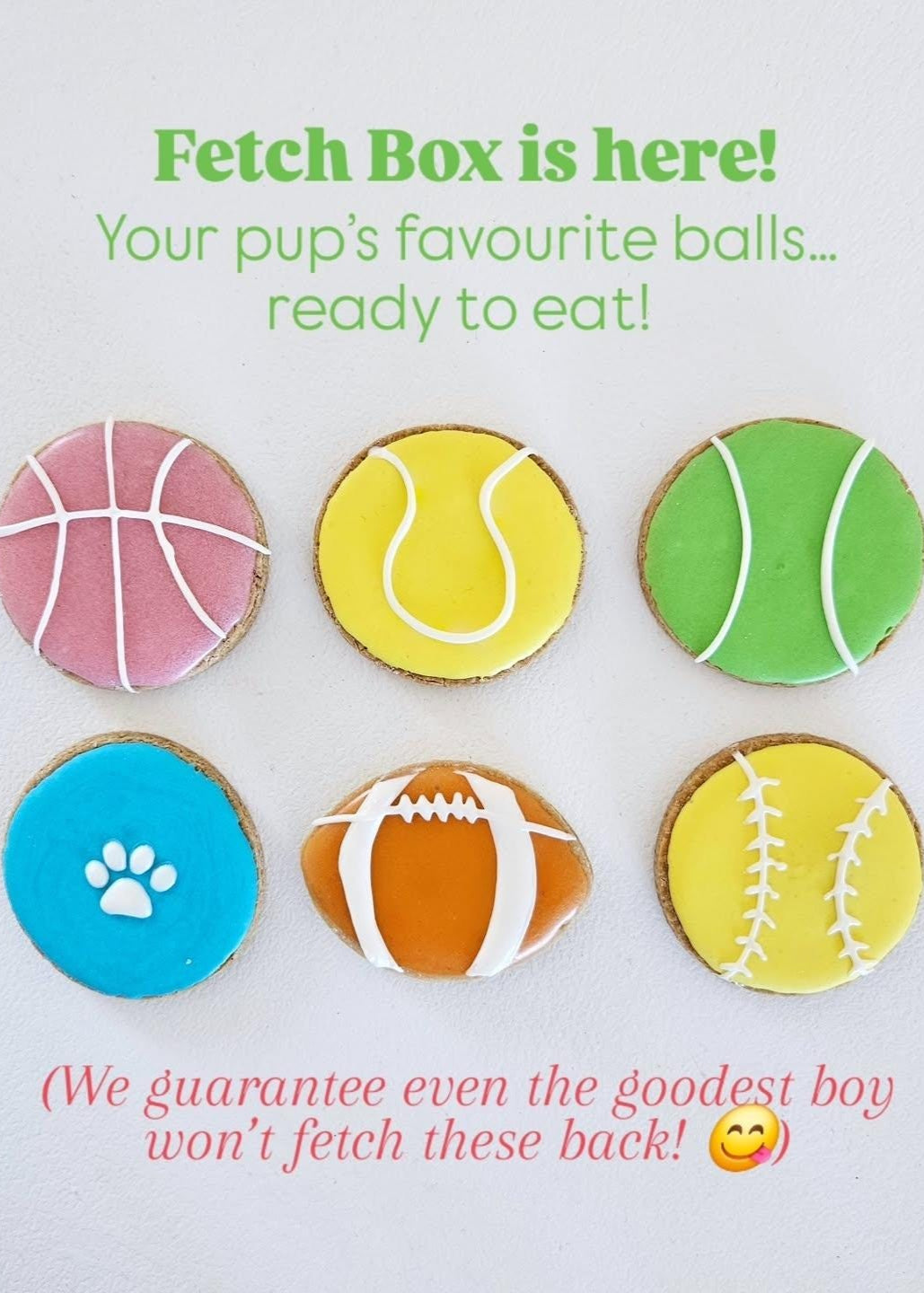 Fetch Box dog cookies – ball-shaped, hand-decorated natural treats