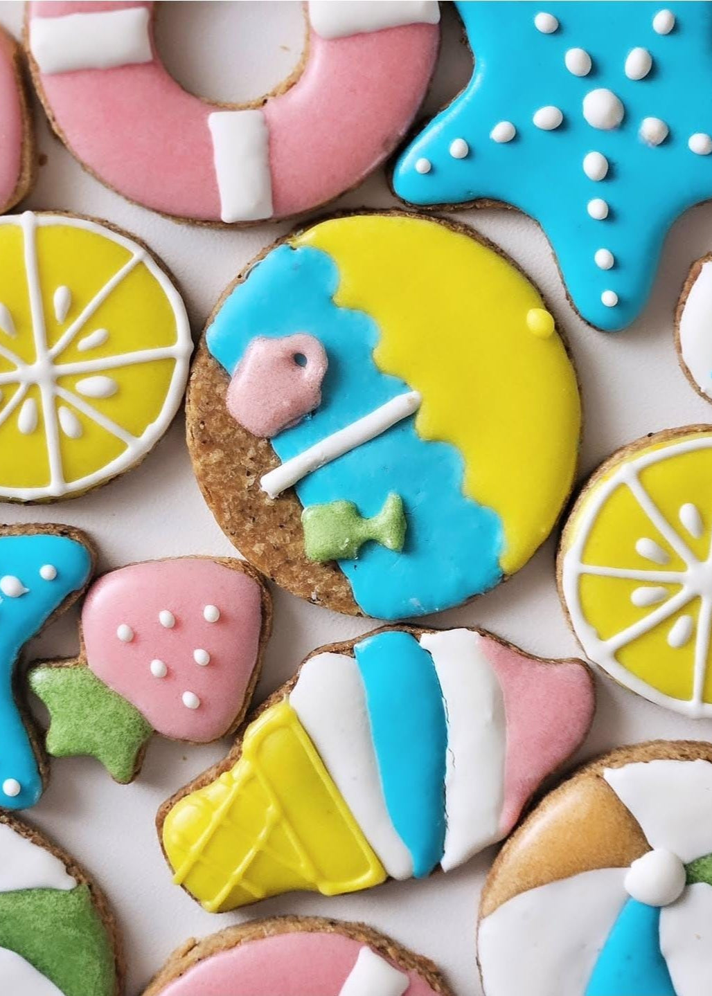 Dog Cookies (x8 or x12) - Summer Collection