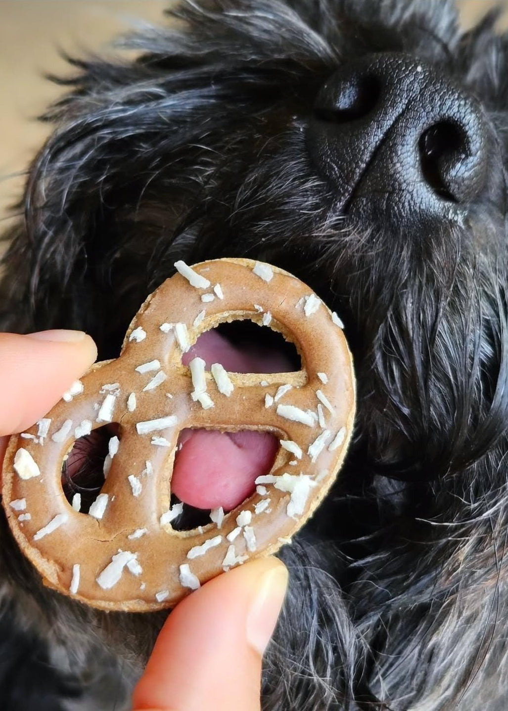 Hand-decorated pretzel dog biscuits with natural human‑grade ingredients