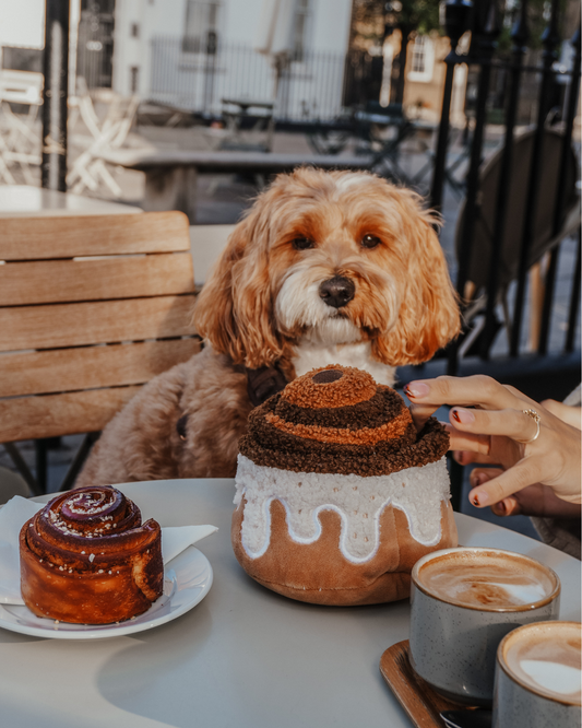 Cinnamon Roll - Snuffle/Enrichment Toy