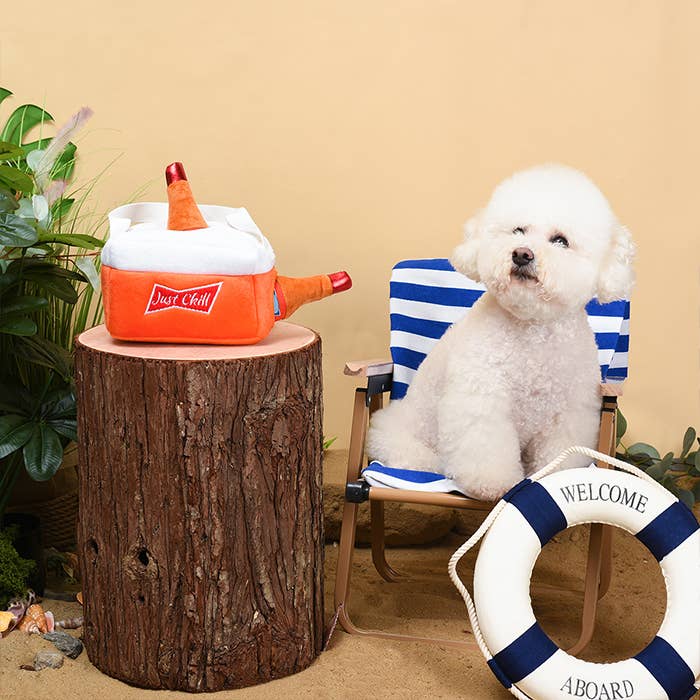 Barkwisers In A Cooler - 4-Piece Enrichment/Snuffle Toy