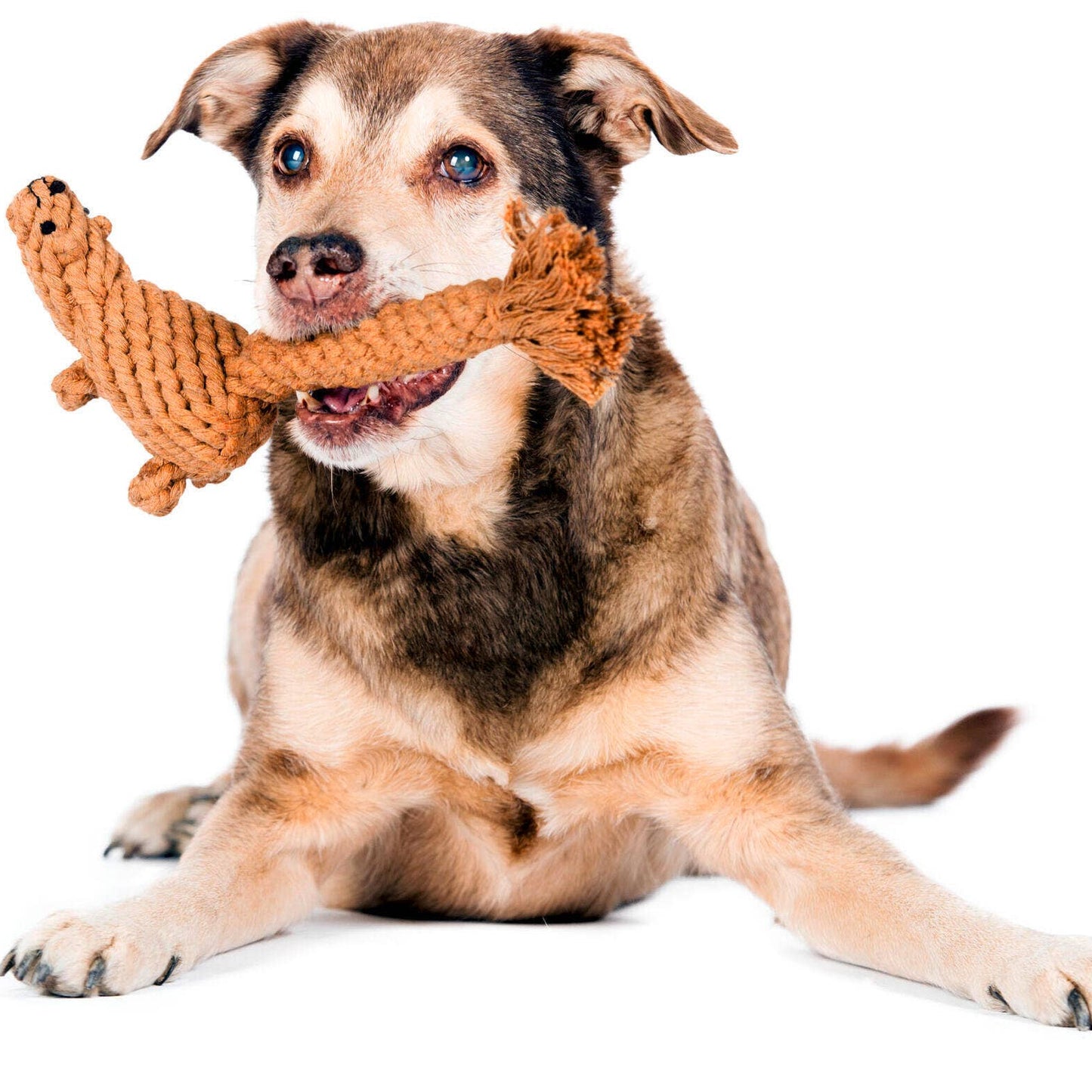 Stan the Squirrel - Award-Winning 100% Cotton Rope Toy