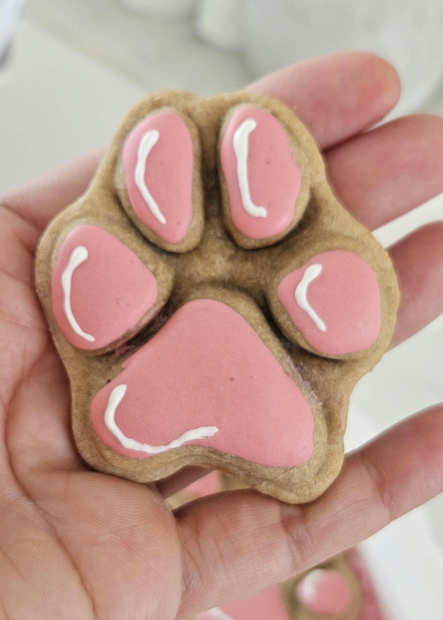 Large pawprint dog biscuits called XL Pawprint Box baked fresh in London