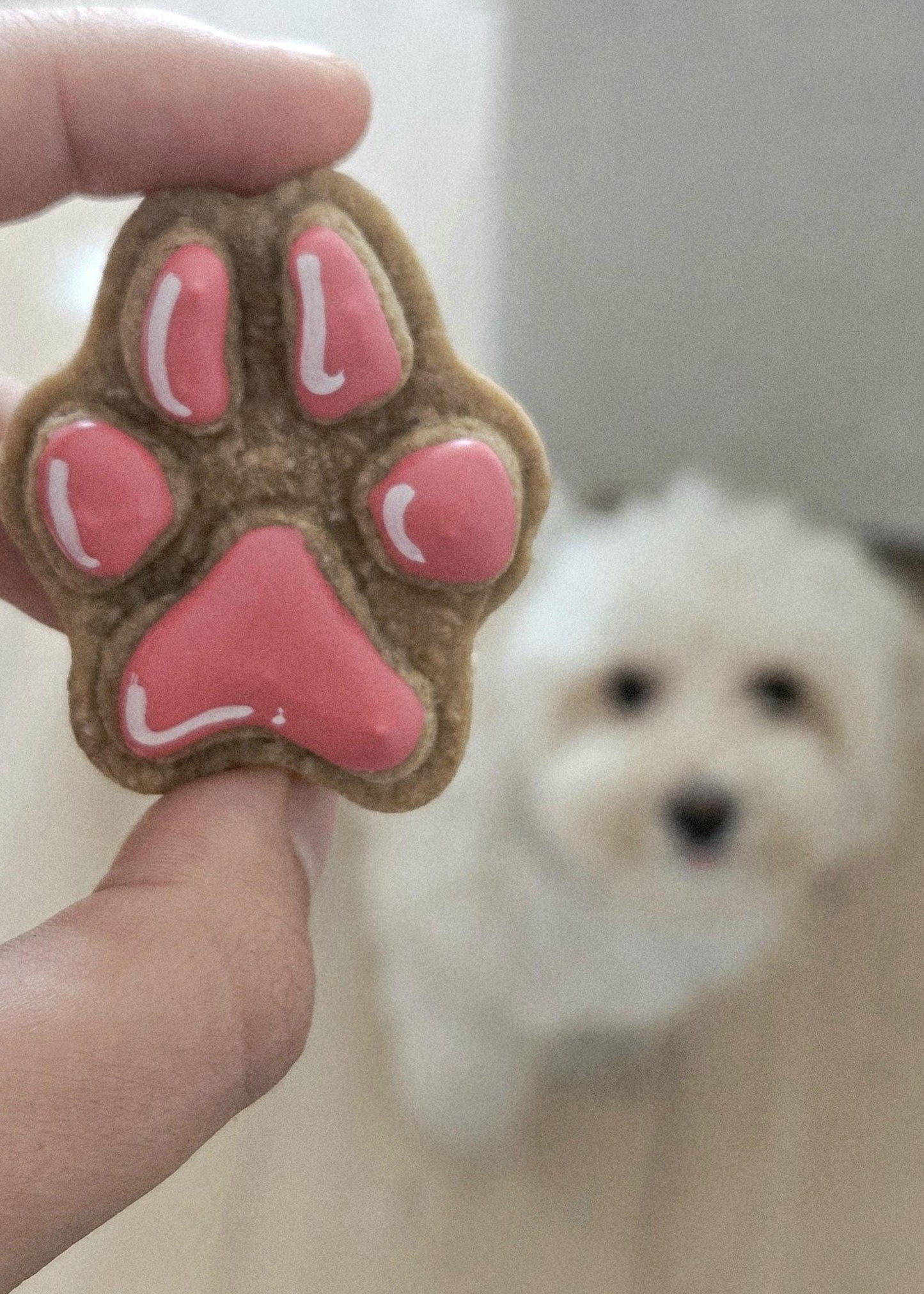 Hand-cut small pawprint dog biscuits baked fresh in London