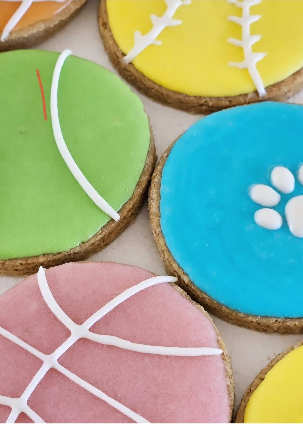 Fetch Box natural dog cookies – fun and healthy baked treats