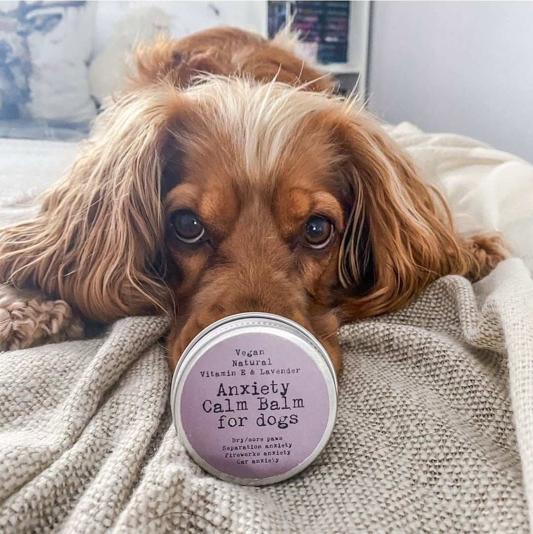 Calming Paw Balm - Natural | Vegan | Eco-Friendly | Lavender&Chamomile