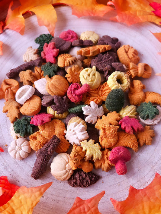Autumn Minis for Minis - Dog Treats (40g)