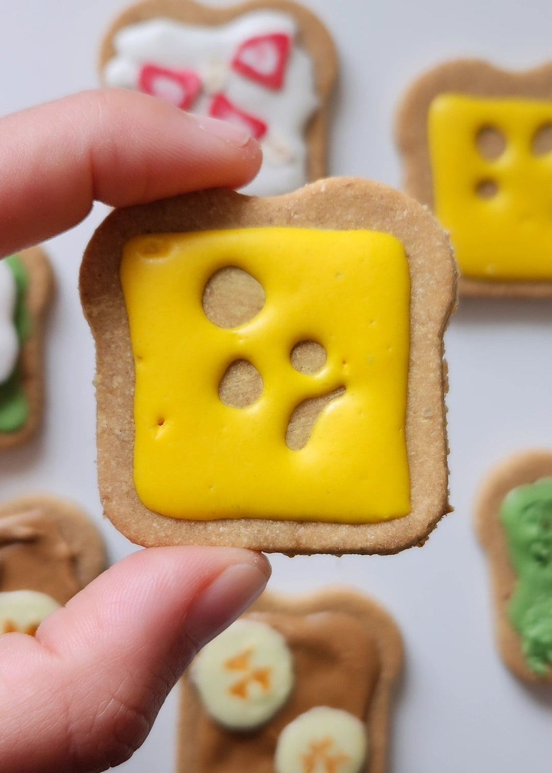 Dog Cookies (x6) - Pup Toasts
