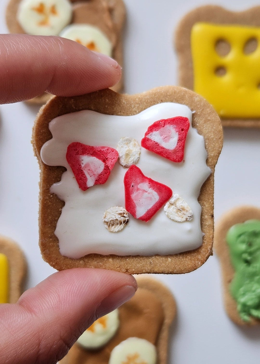 Dog Cookies (x6) - Pup Toasts