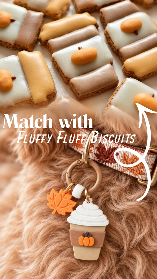 Pupkin Spiced Latte Charm - Made By Fluffy Fluff Charmery