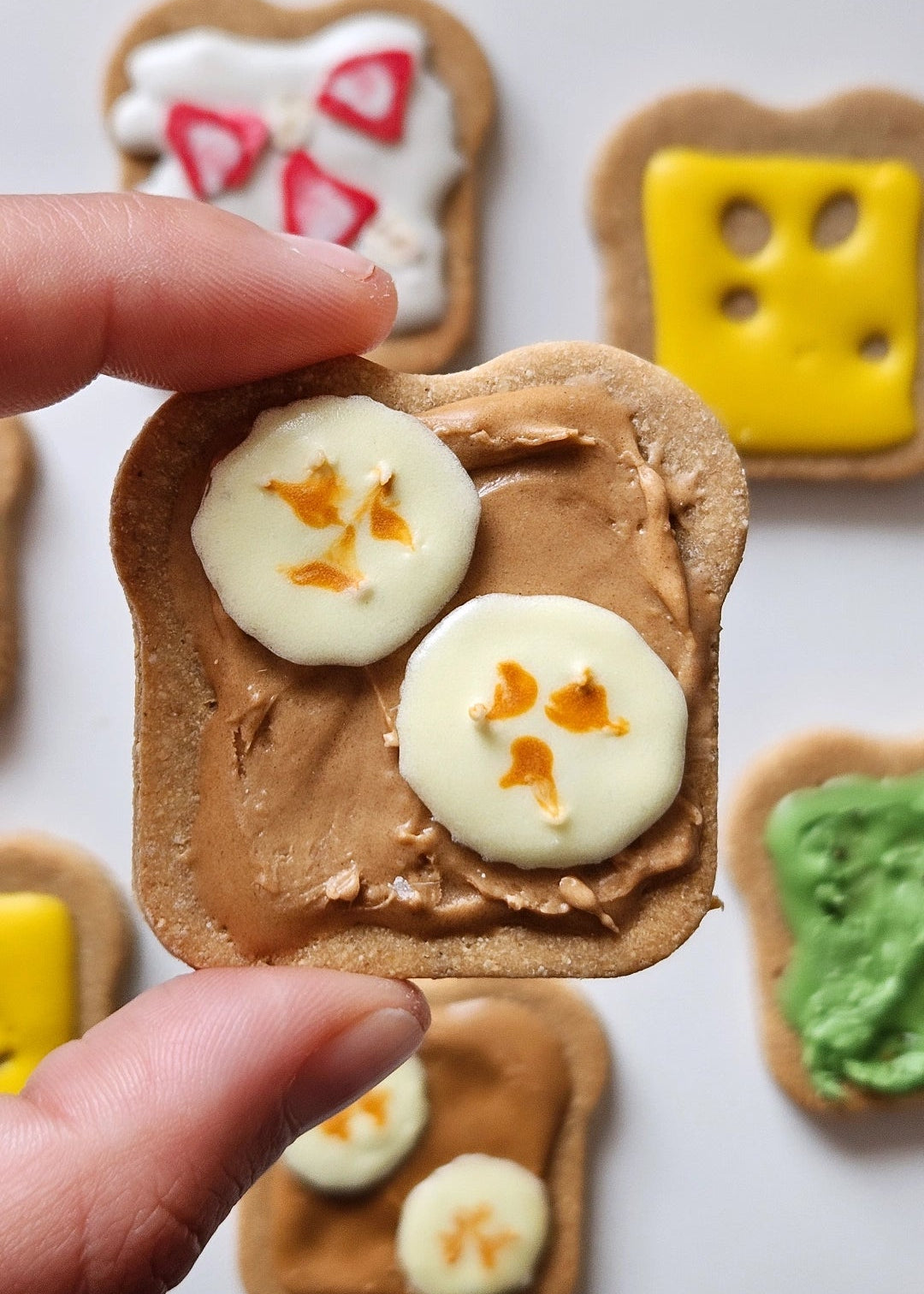 Dog Cookies (x6) - Pup Toasts