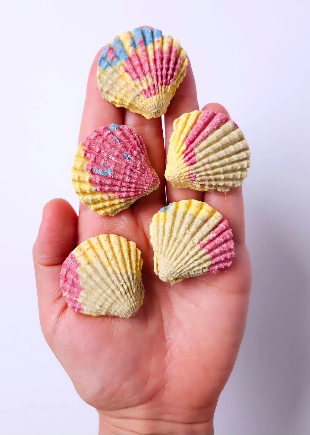 Sea Shells - Dog Biscuits (x5)