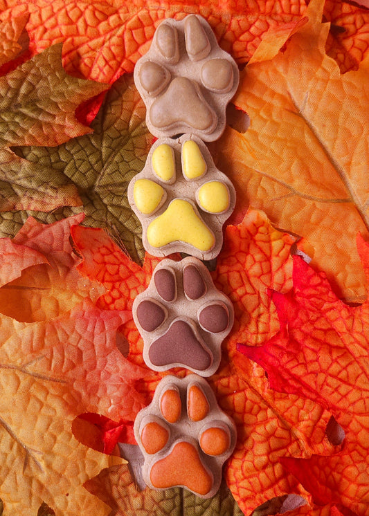 Autumn Paws - Dog Biscuits