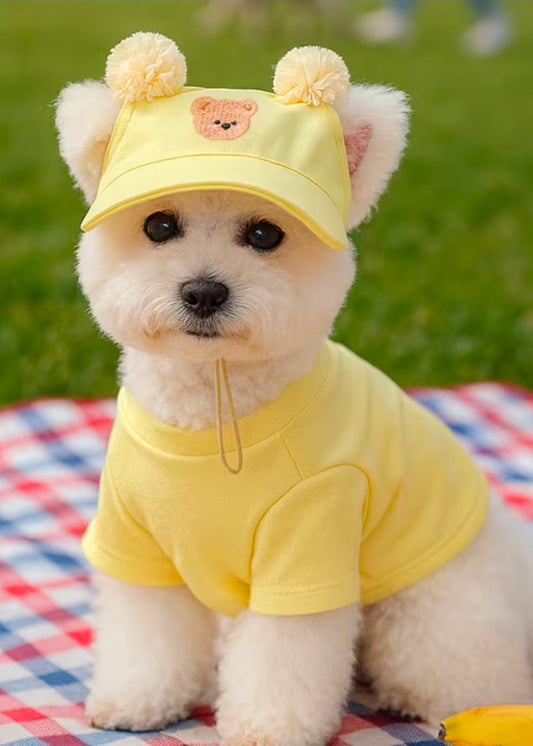Teddy Bear - Dog Cap (Size S or M)