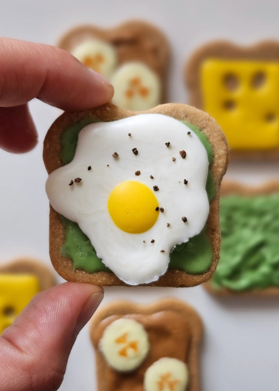 Dog Cookies (x6) - Pup Toasts