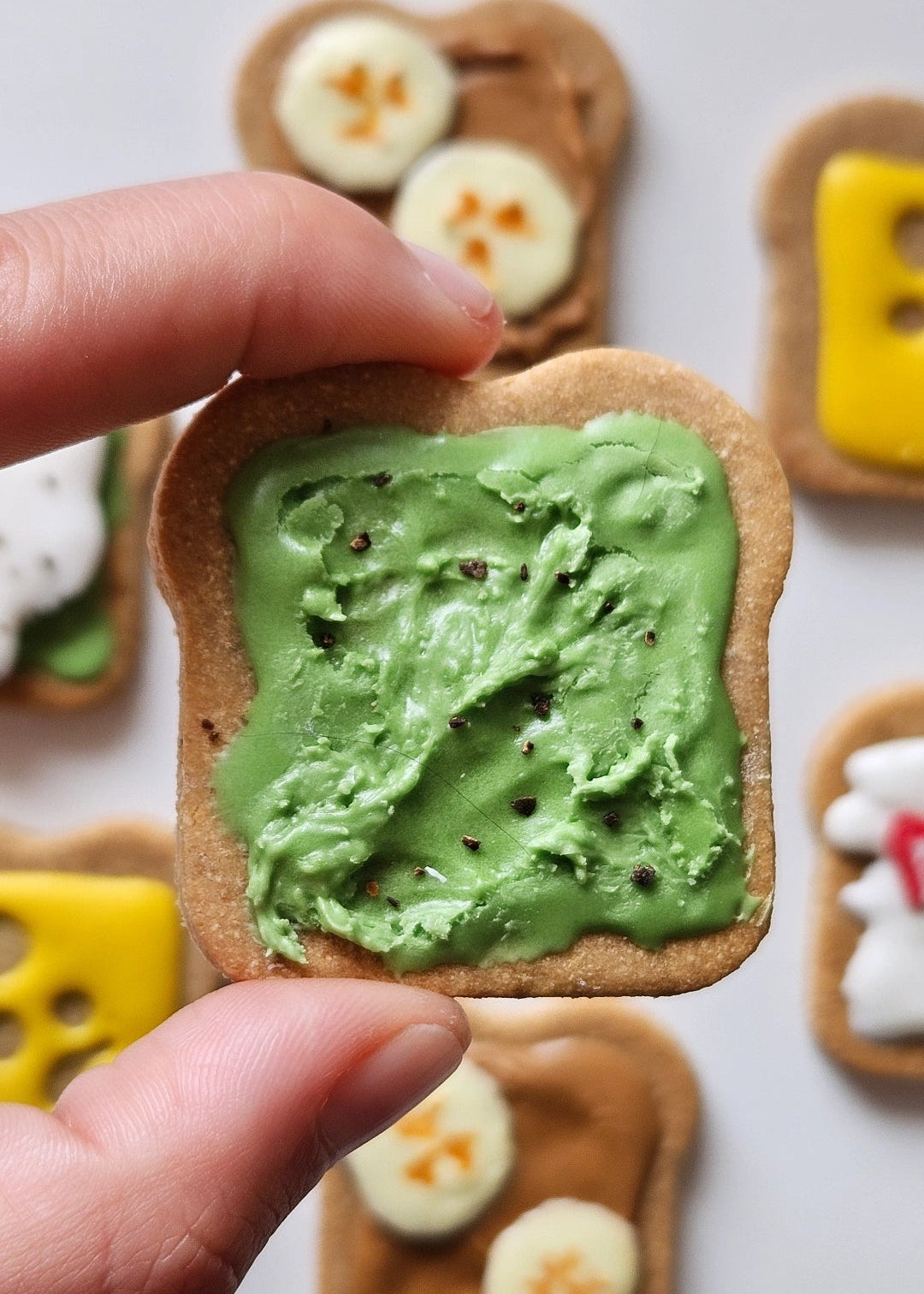 Dog Cookies (x6) - Pup Toasts