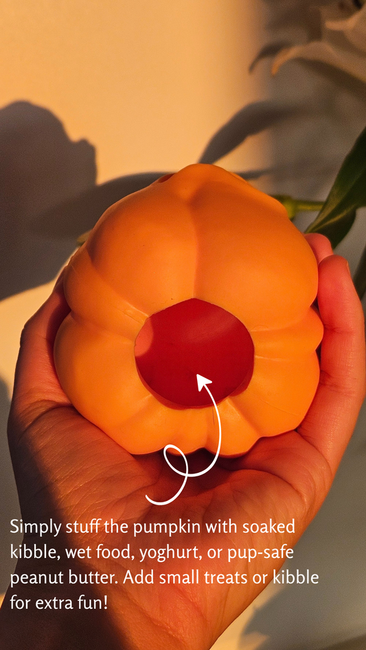 Angry Pumpkin - Enrichment Toy