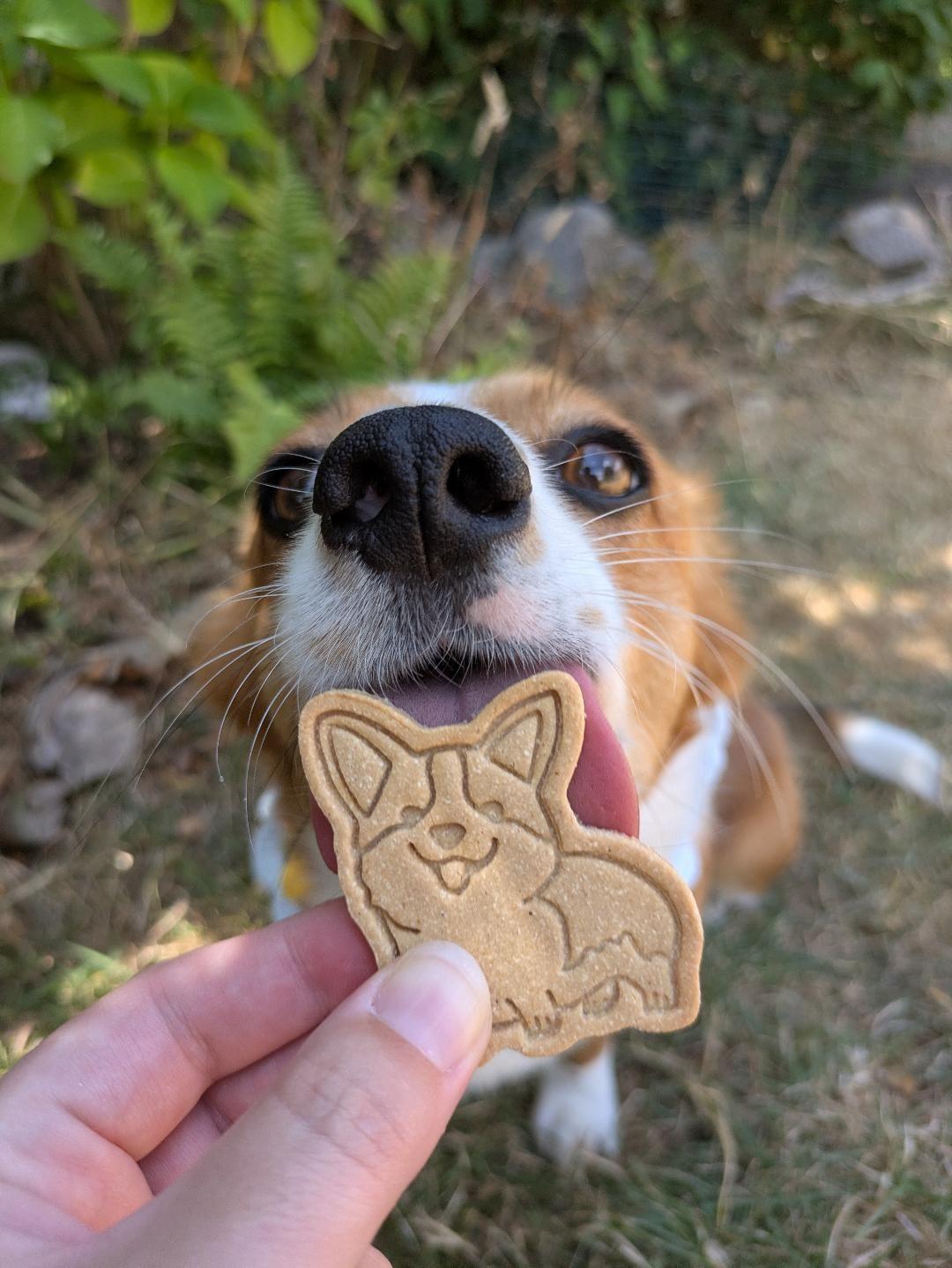 Pick Your Pup - Bite-Sized Dog Biscuits (70g)