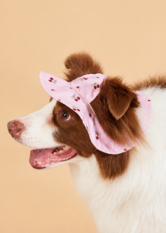 Summer Dog Sun Visor (Size L or M)