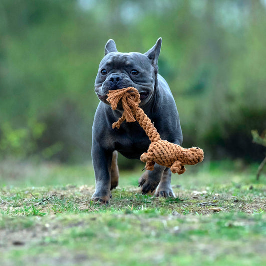 Stan the Squirrel - Award-Winning 100% Cotton Rope Toy