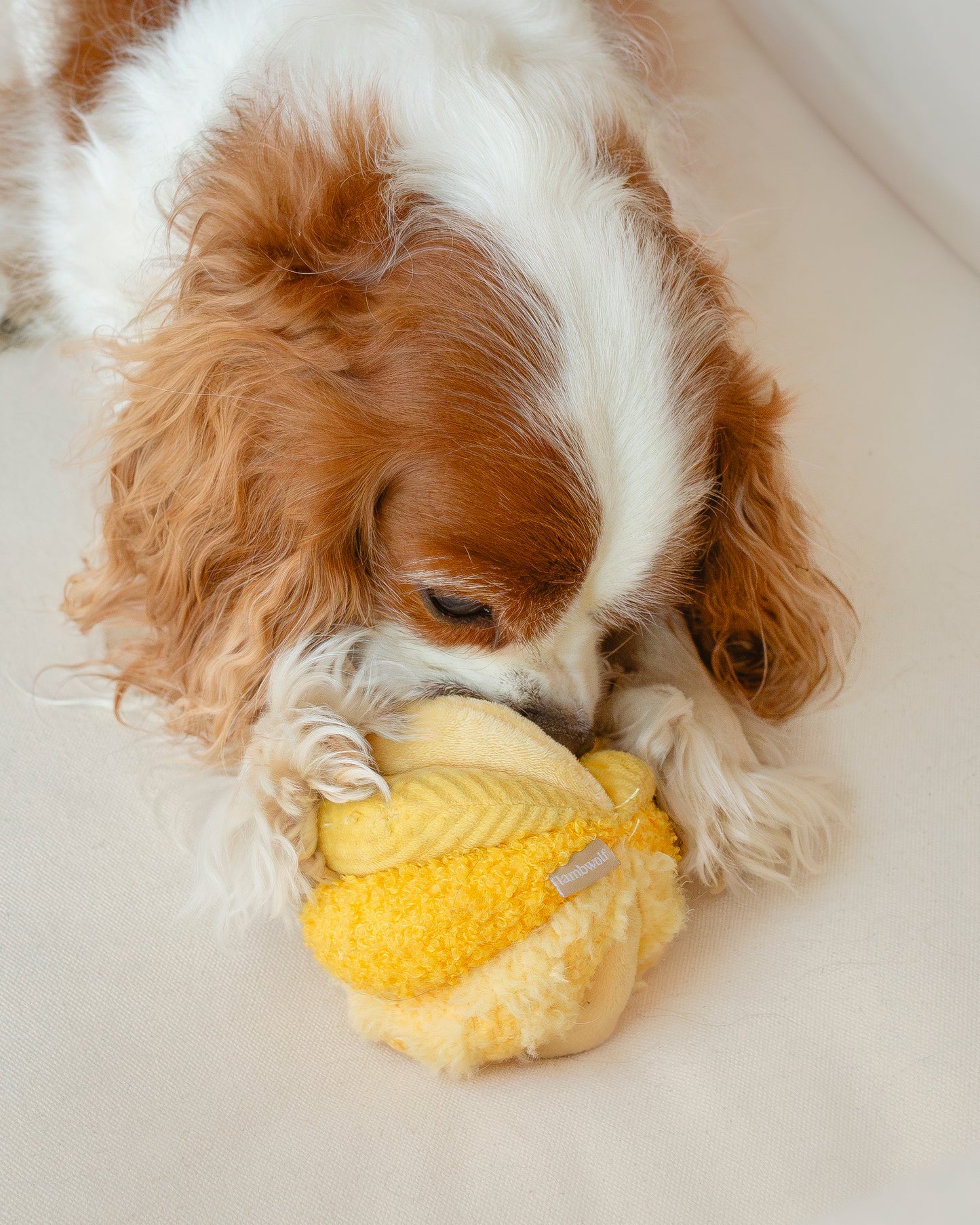 Mini TOTO (10cm) - Silent Snuffle/Enrichment Ball