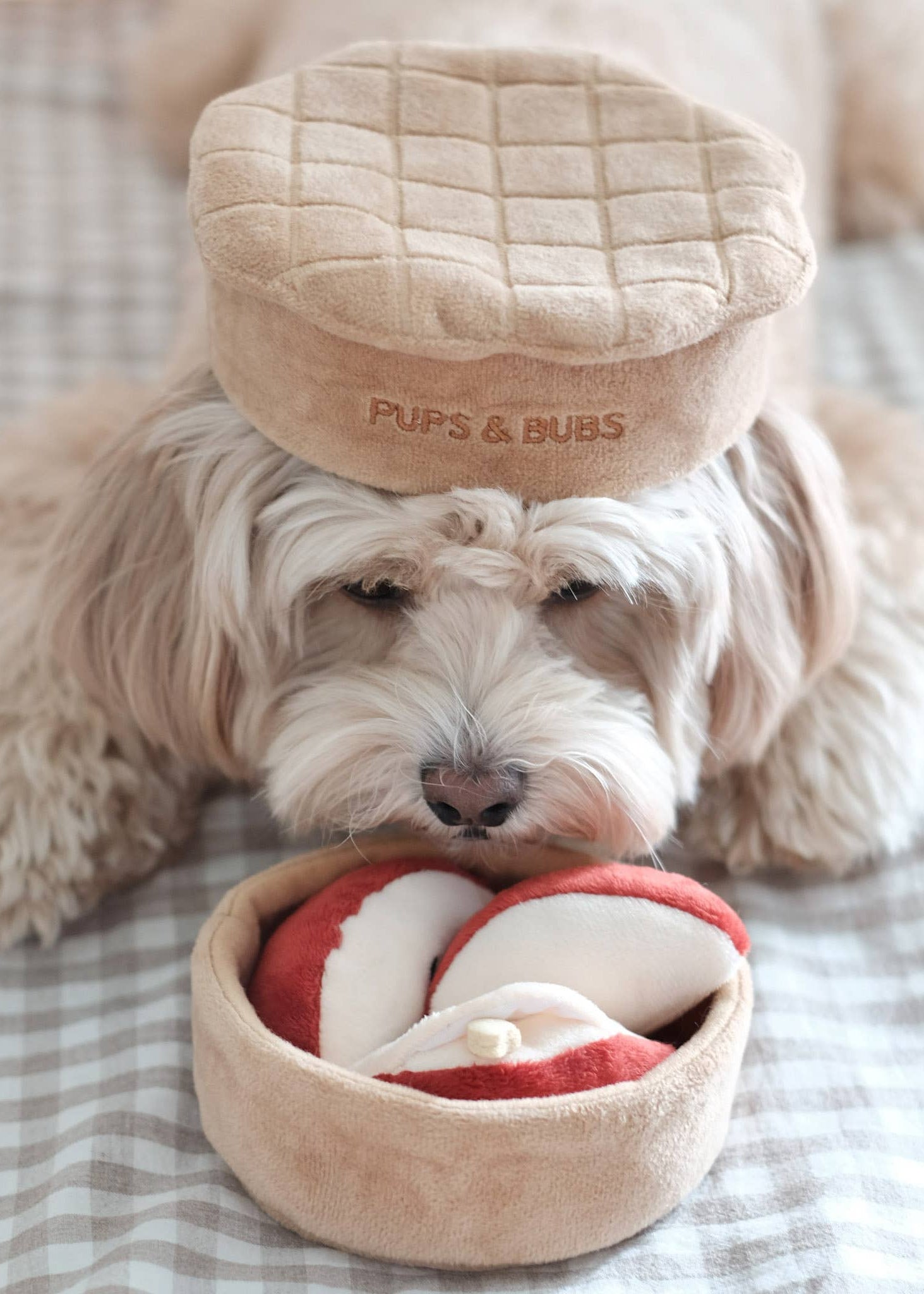 New Snuffle Toys for Dogs – Enrichment & Fun Fluffy Fluff UK