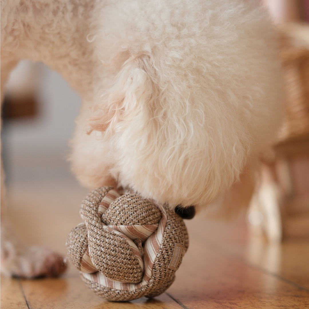 Mini MONTI (10cm) - Snuffle/Enrichment Toy