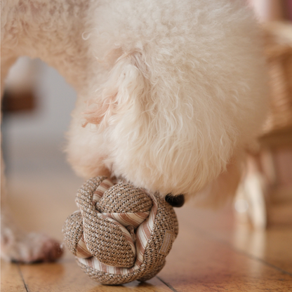 Mini MONTI (10cm) - Snuffle/Enrichment Toy