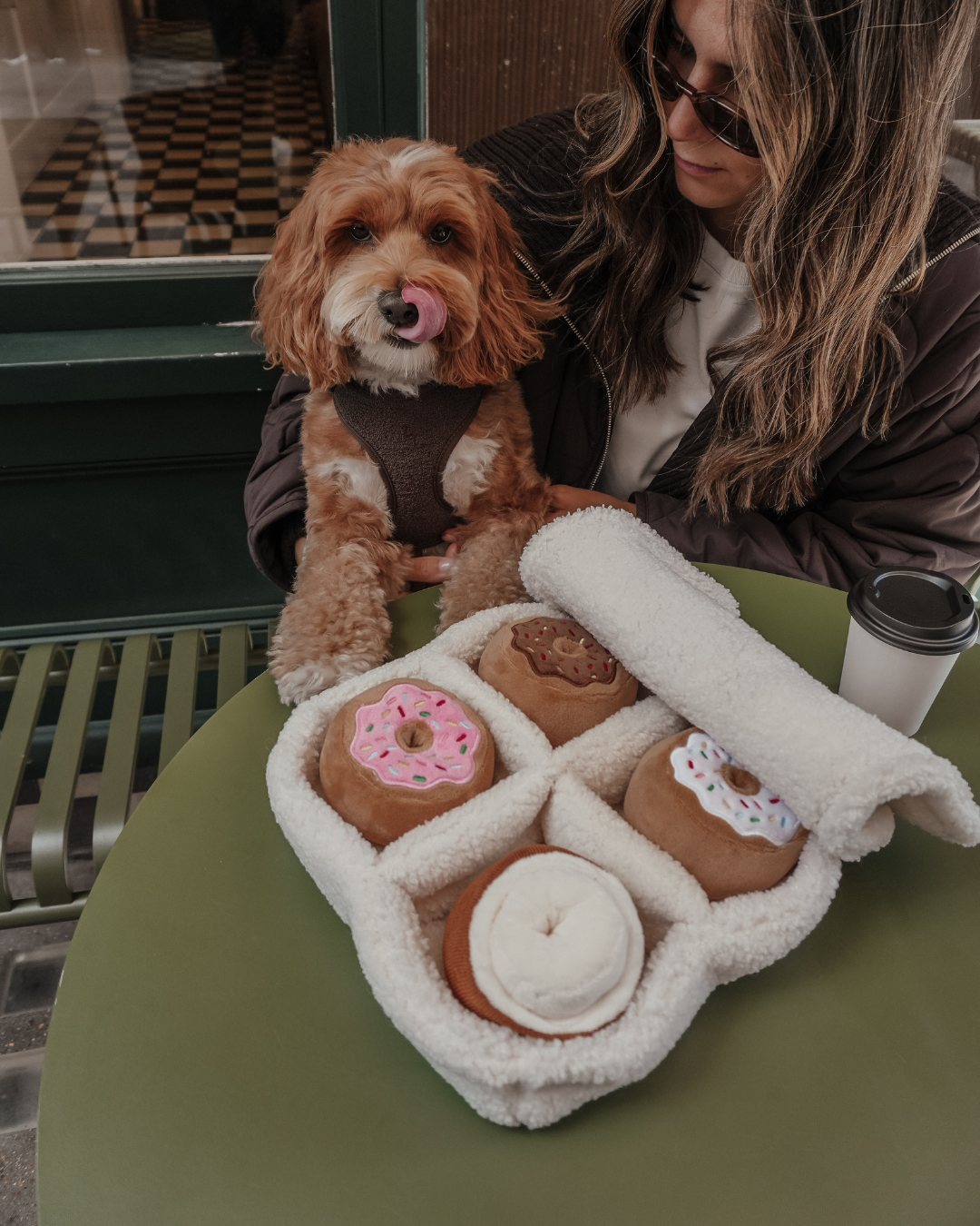 Donut Selection Box  - Snuffle/Enrichment 5-Piece Toy