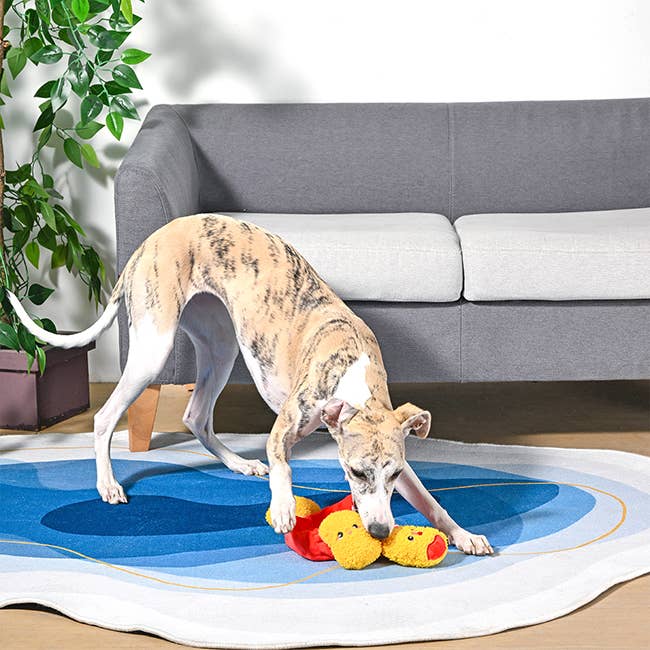 Chicken Nuggets - 4-Piece Enrichment/Snuffle Toy