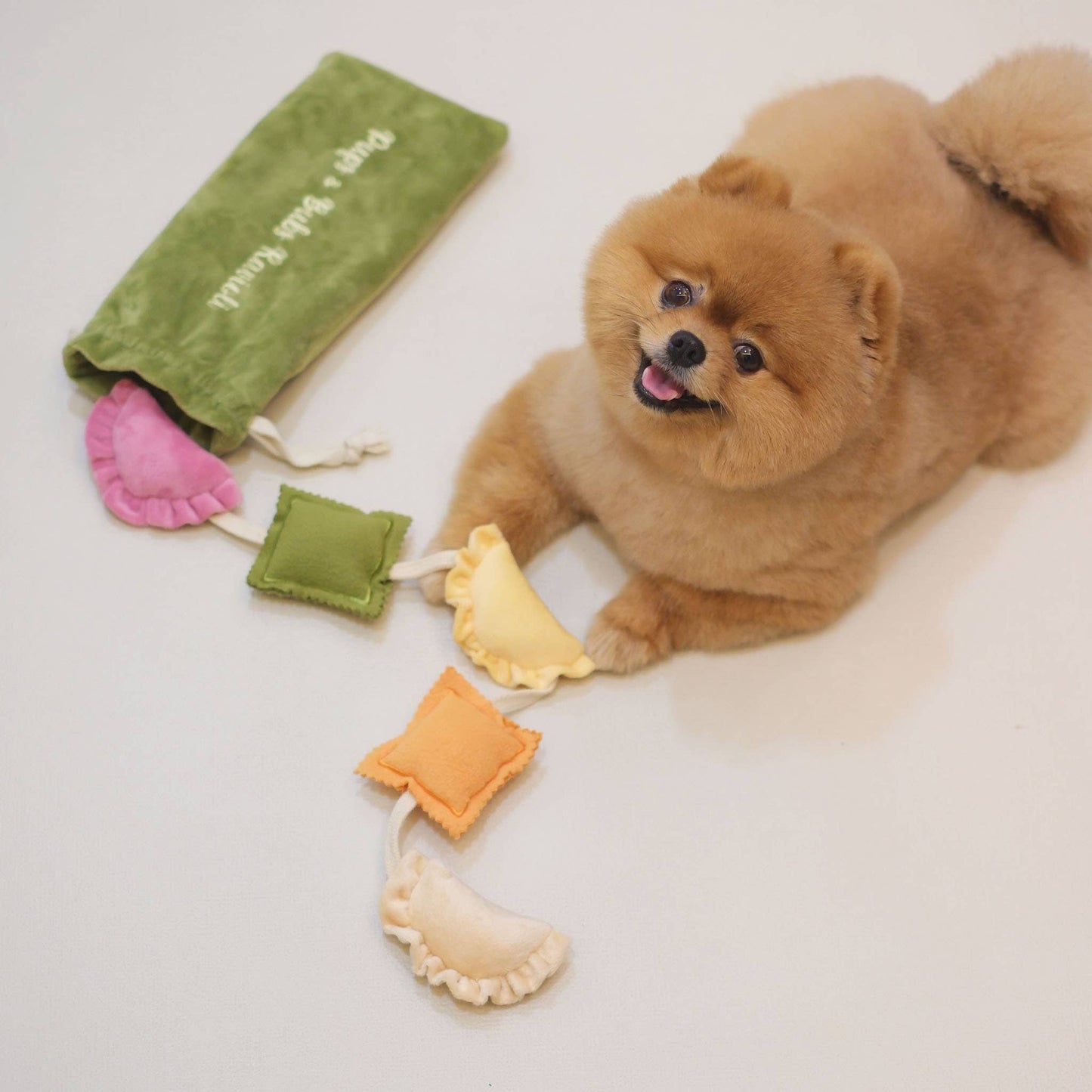 Ravioli - Snuffle/Enrichment Toy