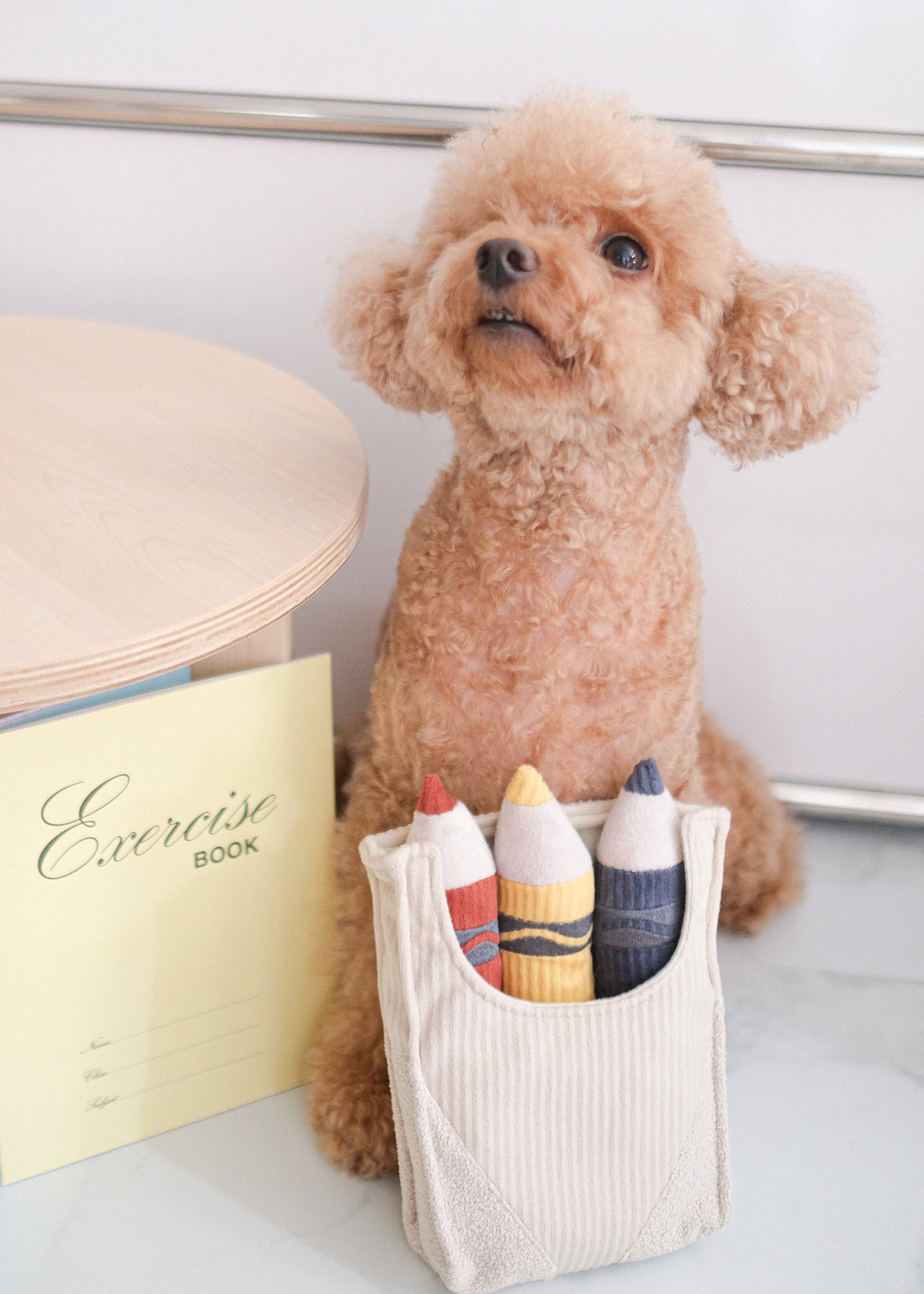 Crayons - Snuffle/Enrichment Toy