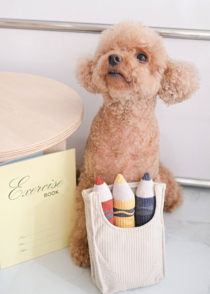 Crayons - Snuffle/Enrichment Toy