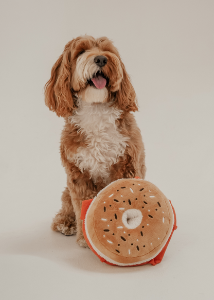 Large Salmon & Cream Cheese Bagel - Snuffle/Enrichment Toy