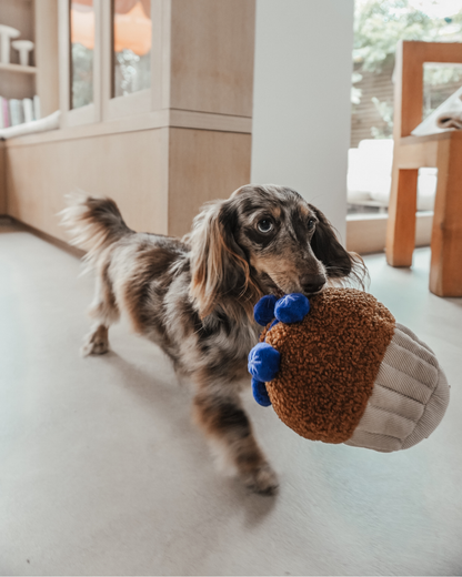 Blueberry Muffin - Snuffle/Enrichment Toy