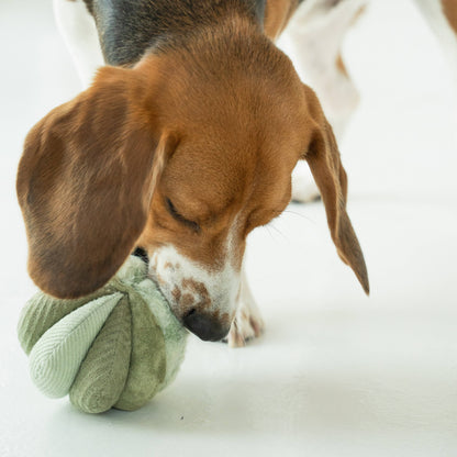 Mini TOTO (10cm) - Silent Snuffle/Enrichment Ball