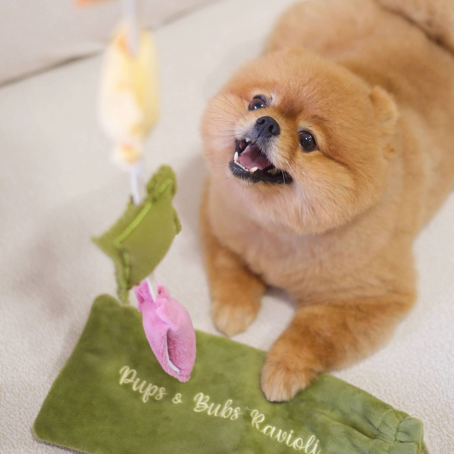 Ravioli - Snuffle/Enrichment Toy