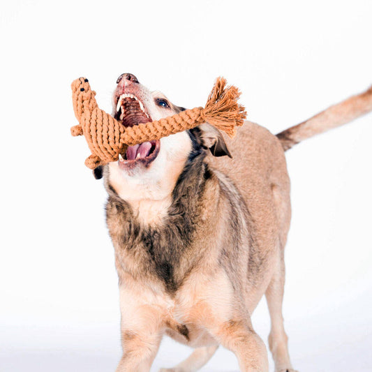 Stan the Squirrel - Award-Winning 100% Cotton Rope Toy