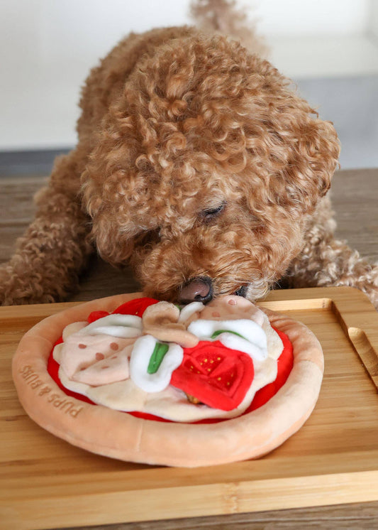 Pizza - Enrichment/Snuffle Mat