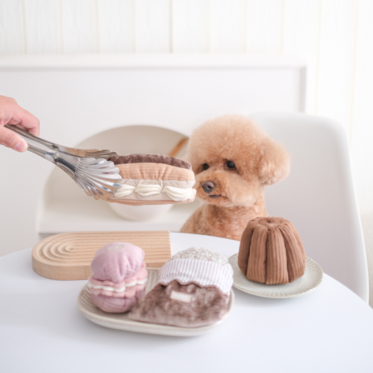 Small Eclair - snuffle/enrichment toy