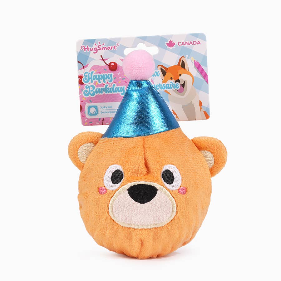 Birthday Teddy Ball - Dog Toy